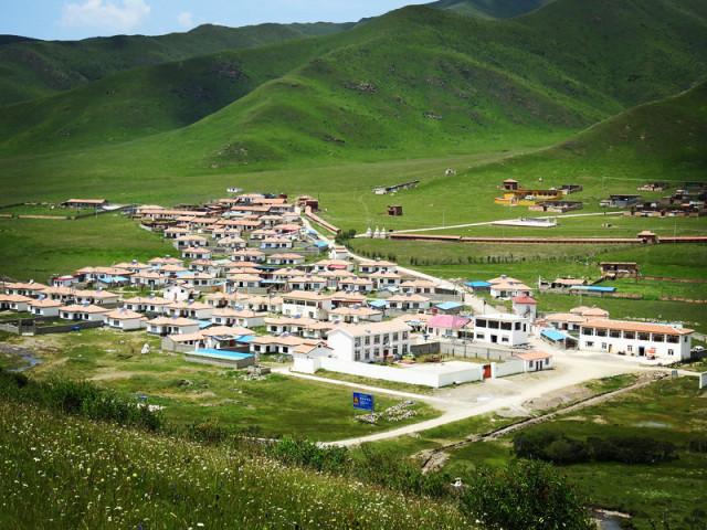 动物帮帮忙保卫家园