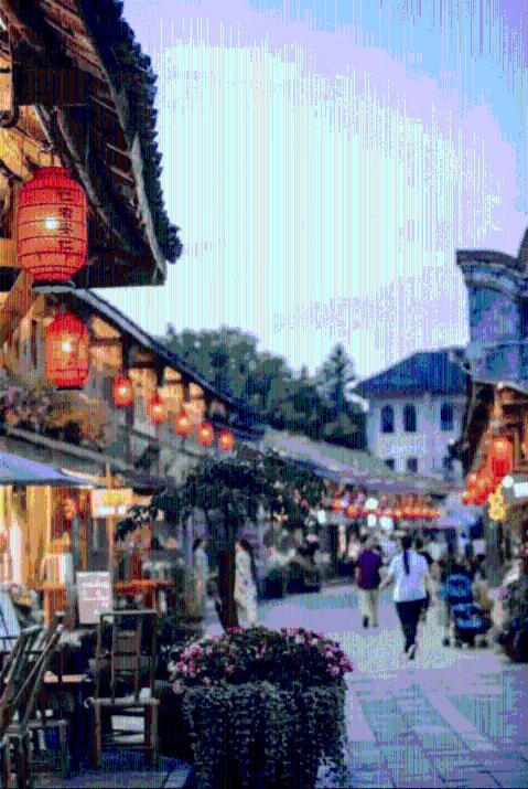 春雨直播app